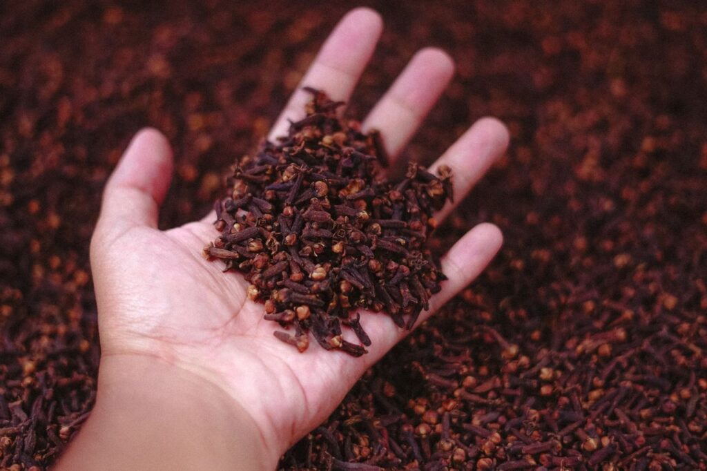 DEAR ROOTS Kerala spices bringing authentic flavour from their natural roots to your kitchen